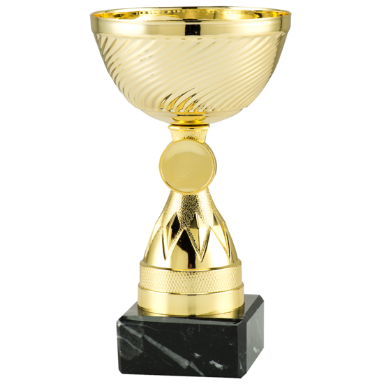 Budget-Friendly Sports Trophy