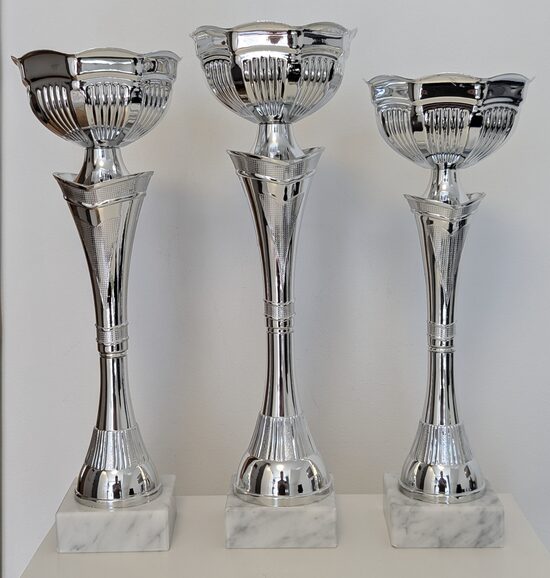 Silver Trophy with Marble Base (Series AM21)