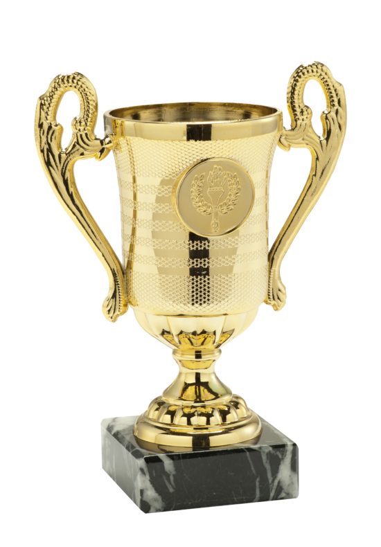 Budget-Friendly Classic Sports Trophy (14.5 cm)